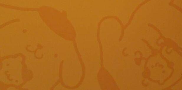 eri_sanrio's profile banner image