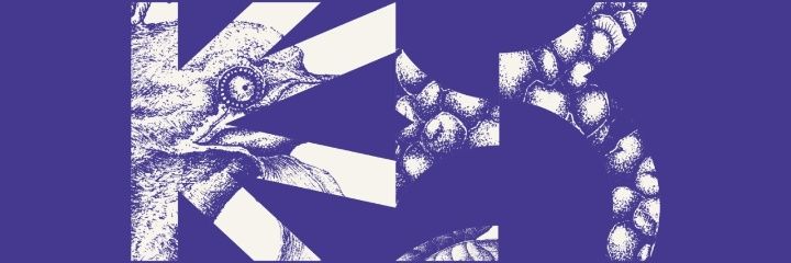 Festival Kino Beat banner