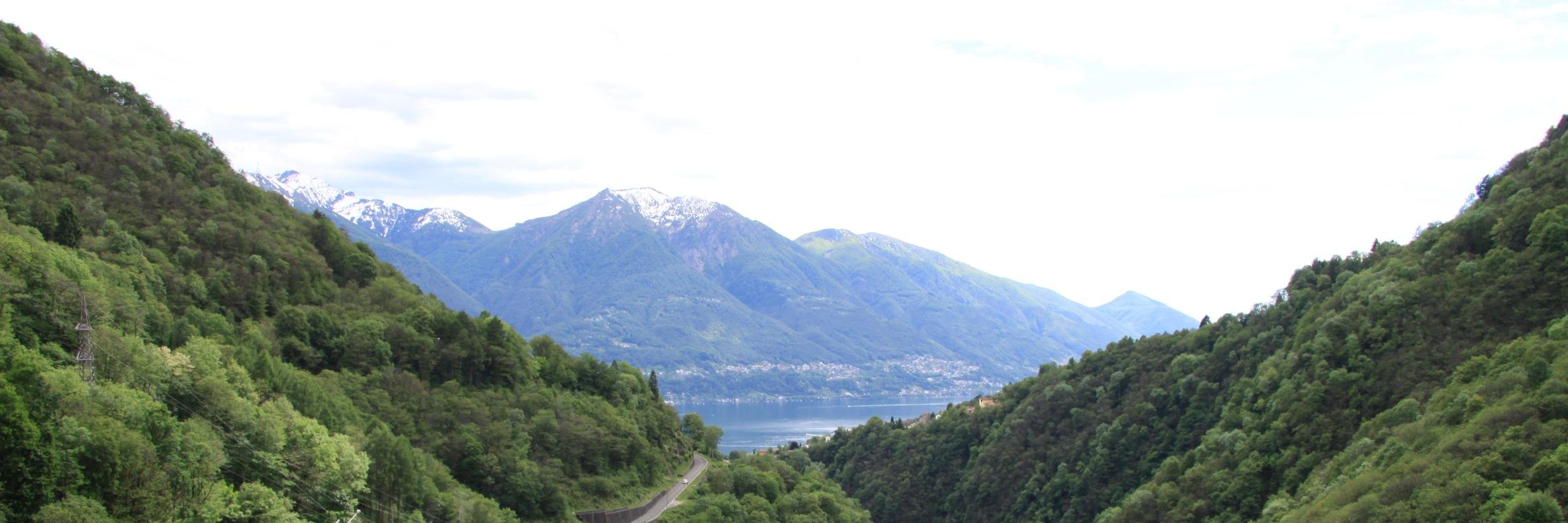 brunograz1's profile banner image