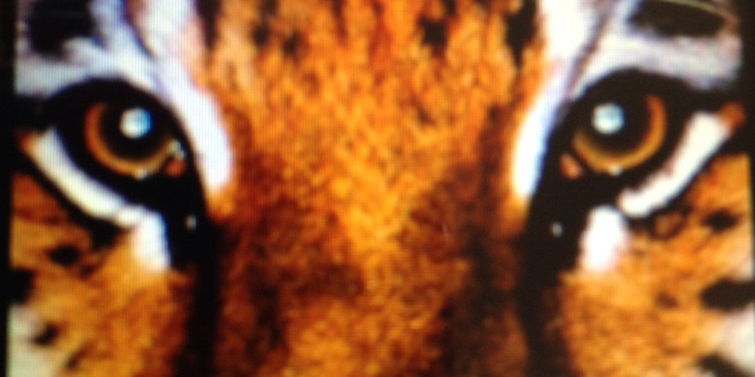 a_wilson41's profile banner image
