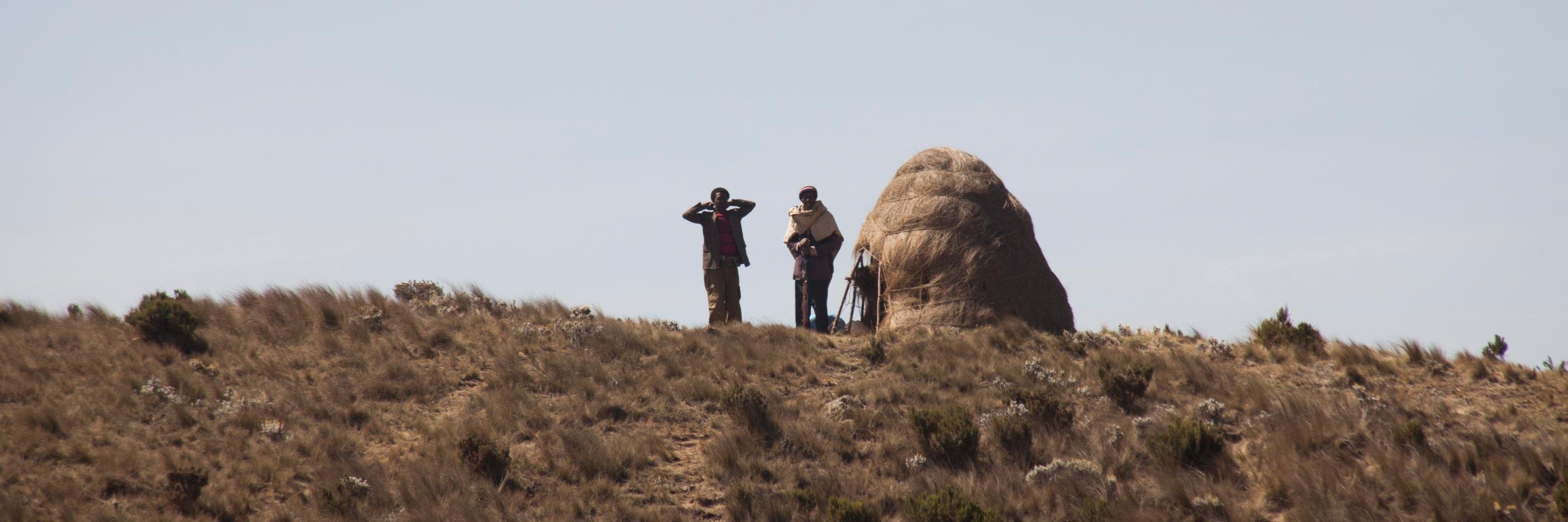 EthiopiaDev's profile banner image