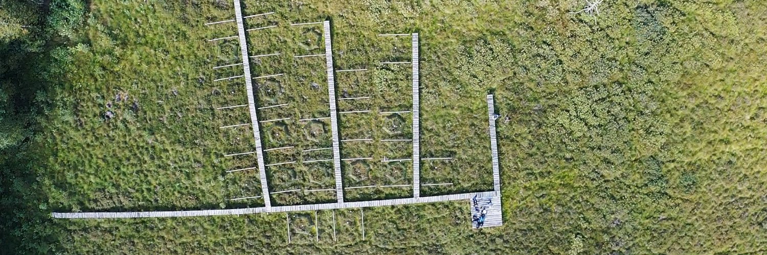 Michał Słowiński banner