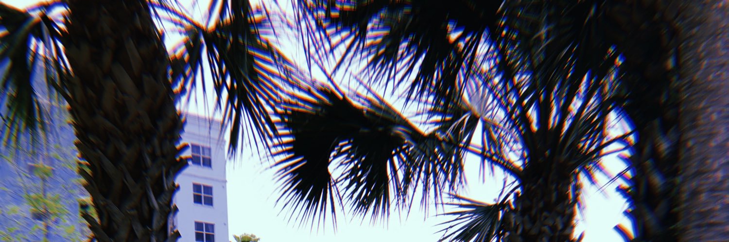 mbieberitz2's profile banner image