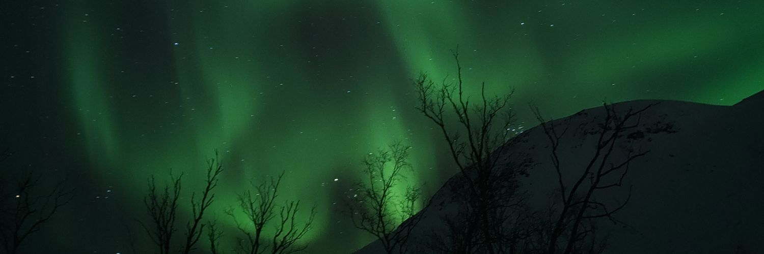 r_mvl's profile banner image