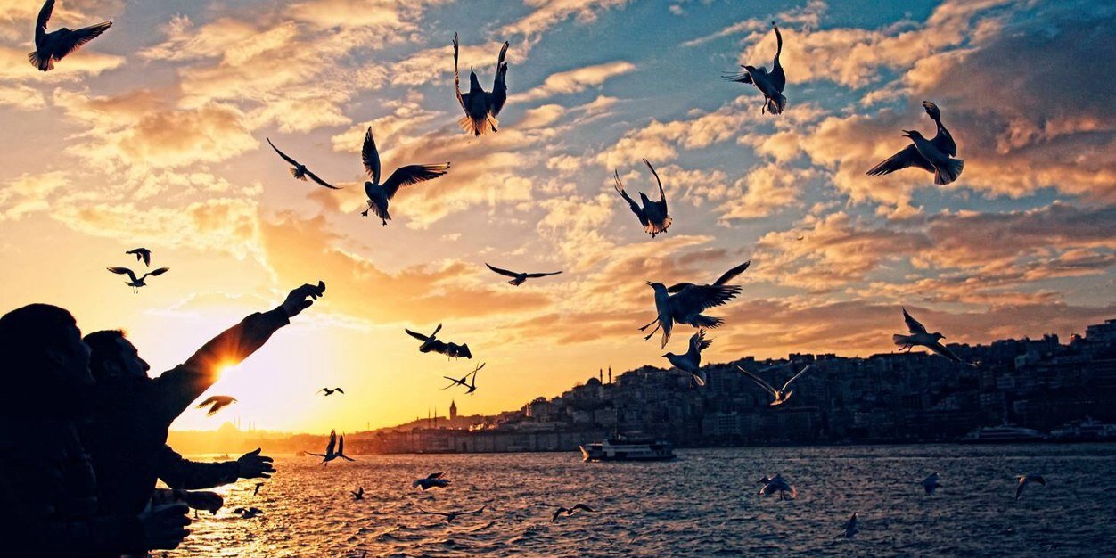 Evriye's profile banner image