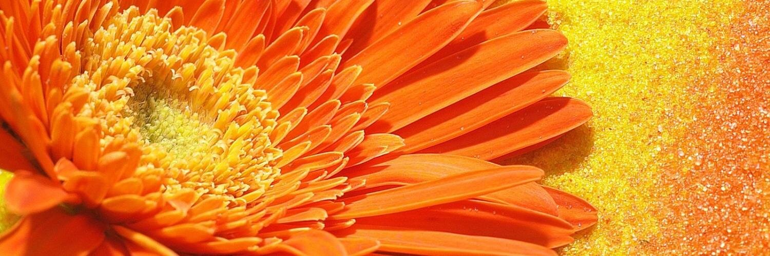 PaulaGilabert's profile banner image
