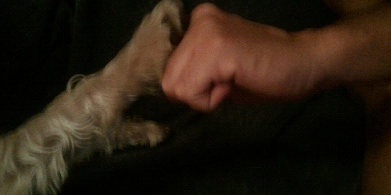 gabriel ruiz padilla banner