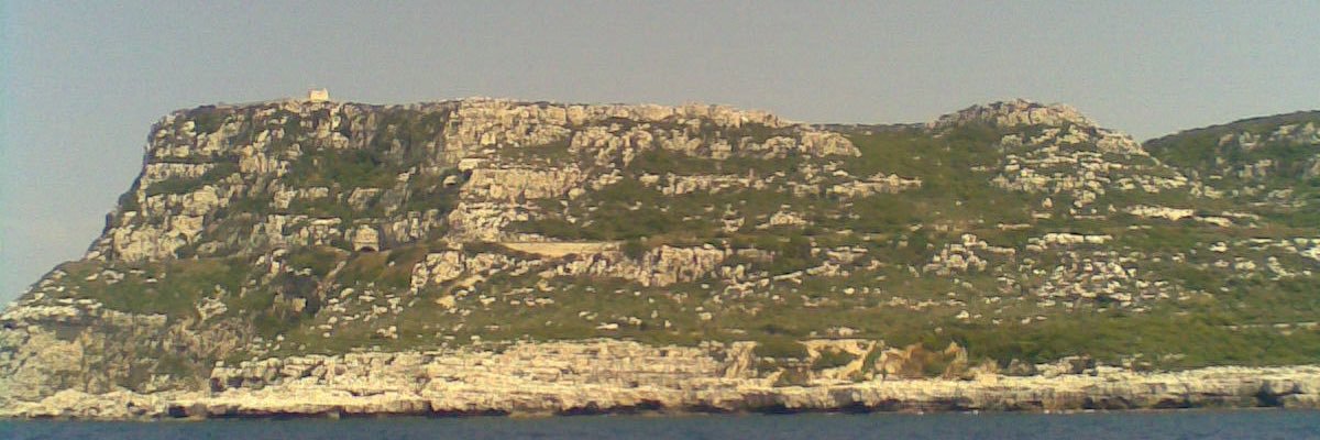 aliaayoub's profile banner image