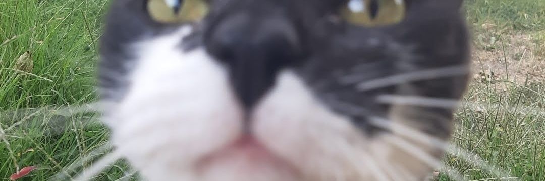 aylenprix's profile banner image