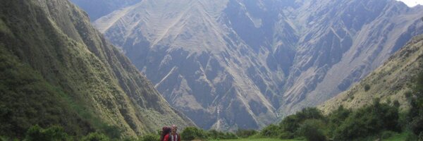 GSechi_LD Profile Banner