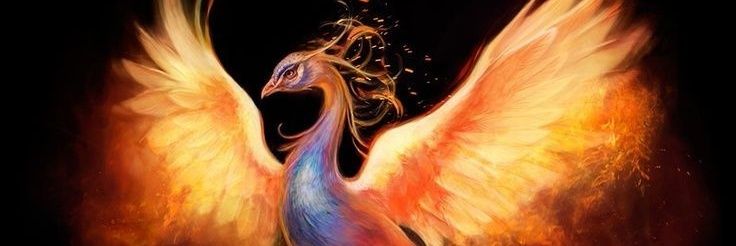 ceekaygan's profile banner image