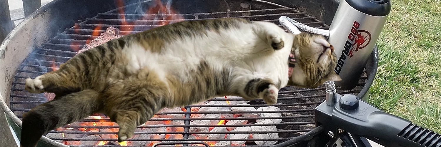 ✨🐈 banner