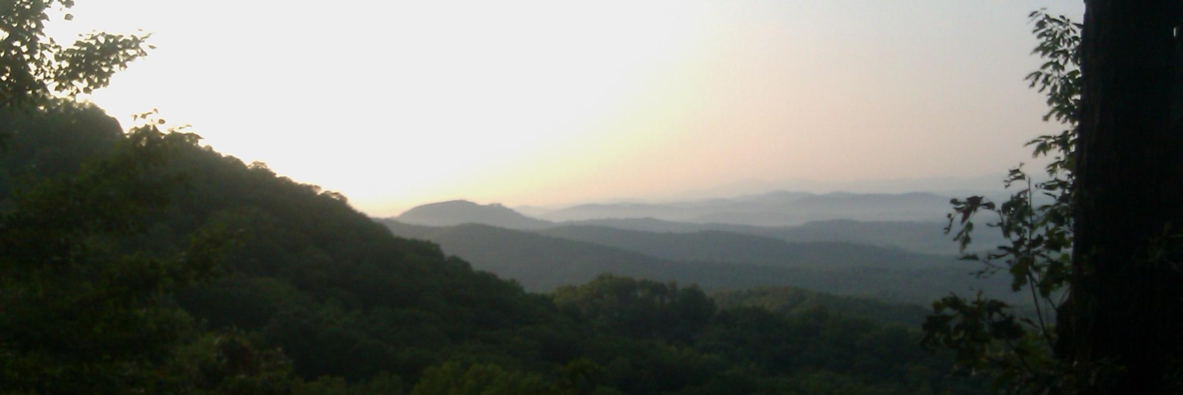 debscanlan220's profile banner image