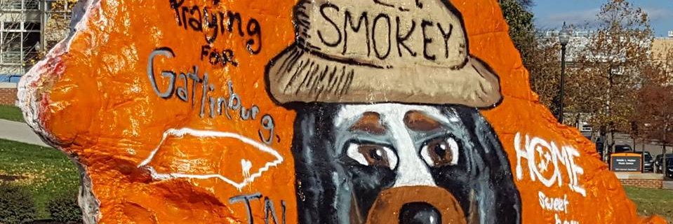 Libby_GoVols's profile banner image