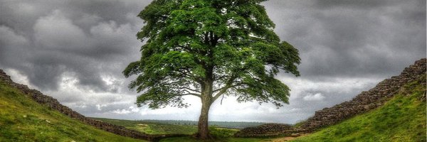 WriteAuthorBlog Profile Banner