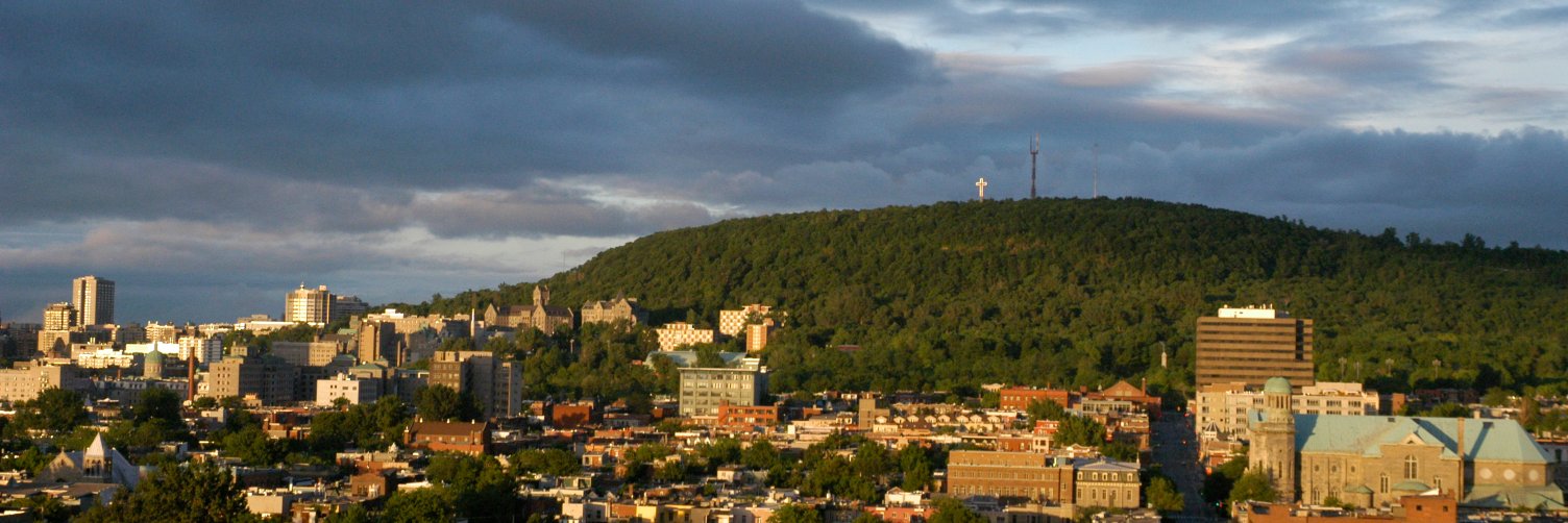 Colleen Maxwell banner