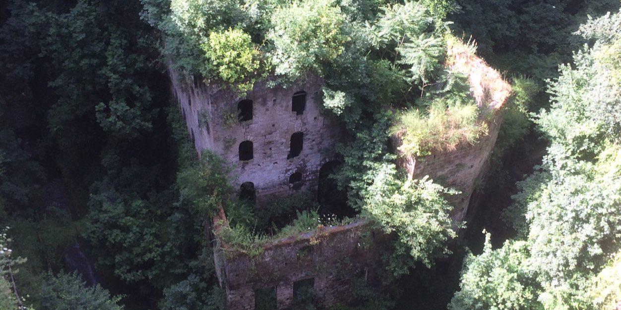 Adam Mansfield banner