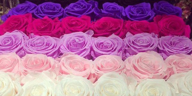 alaook54's profile banner image