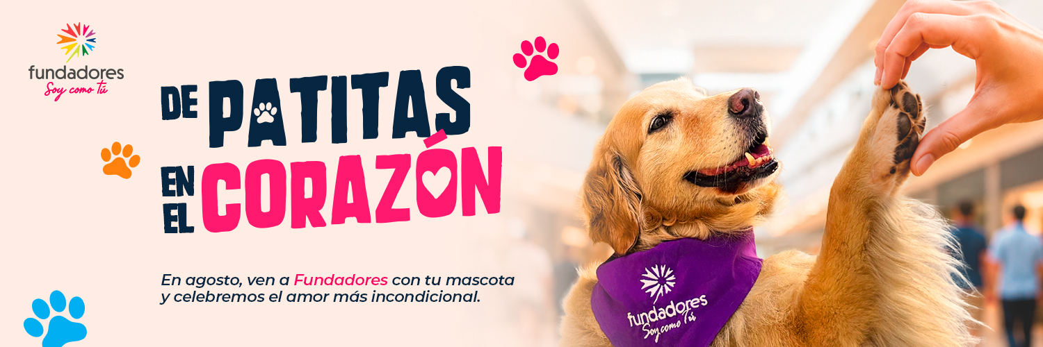 ccfundadores's profile banner image