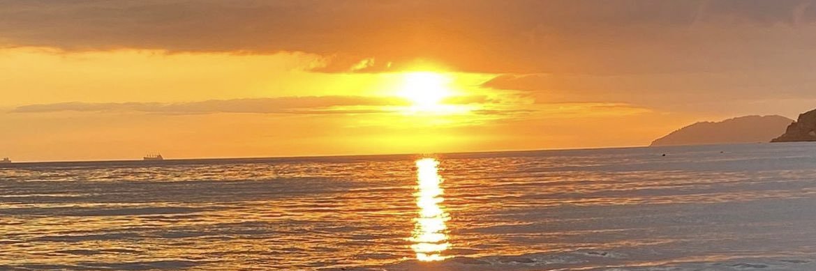 lauracavarcan's profile banner image