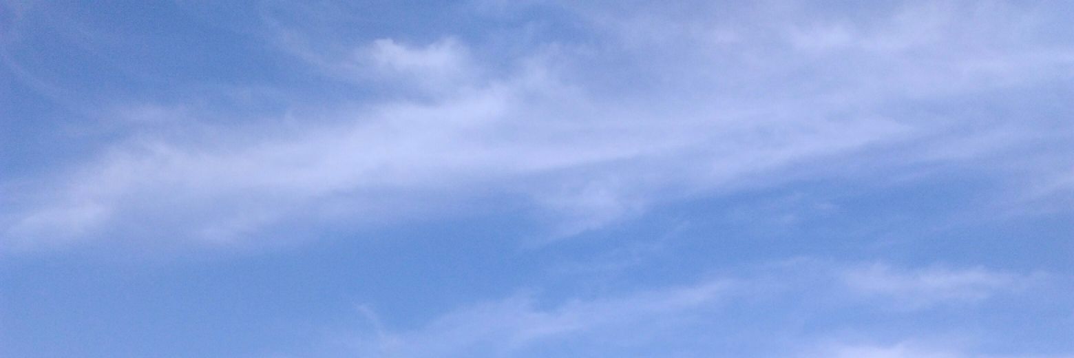 isis1126's profile banner image