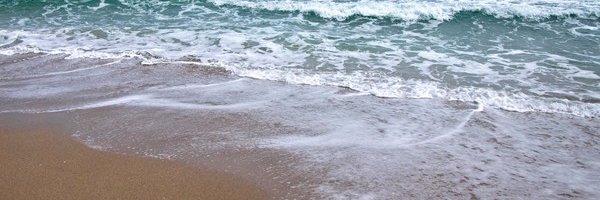 adriana mircia banner