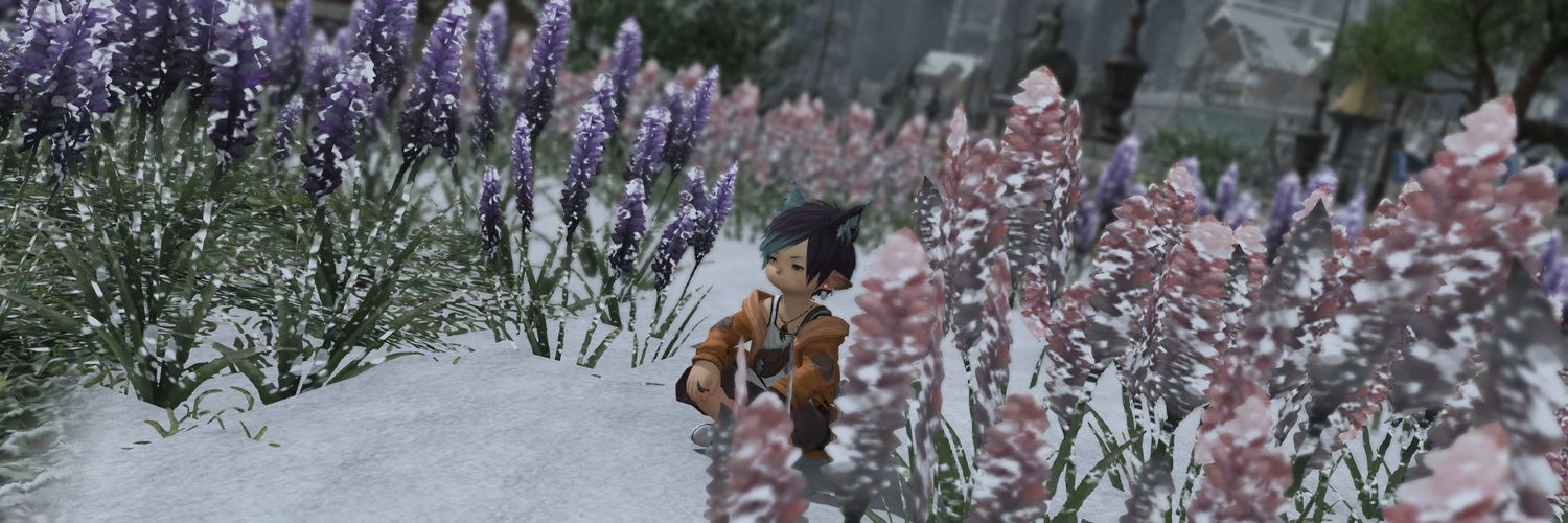SnaitBraveHeart's profile banner image