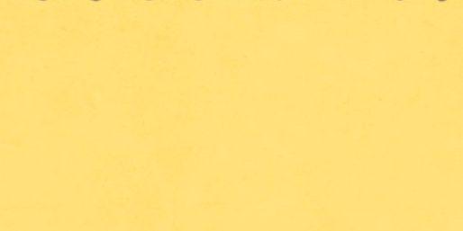 DN banner