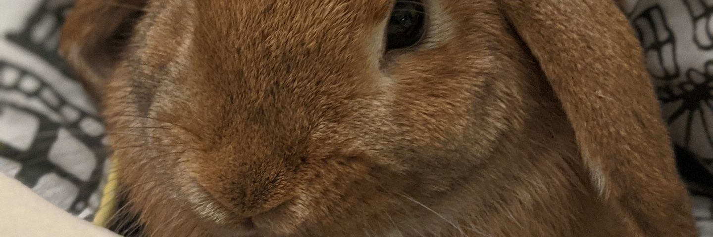 ayesure2's profile banner image