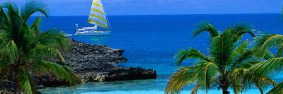 sirena_nc's profile banner image