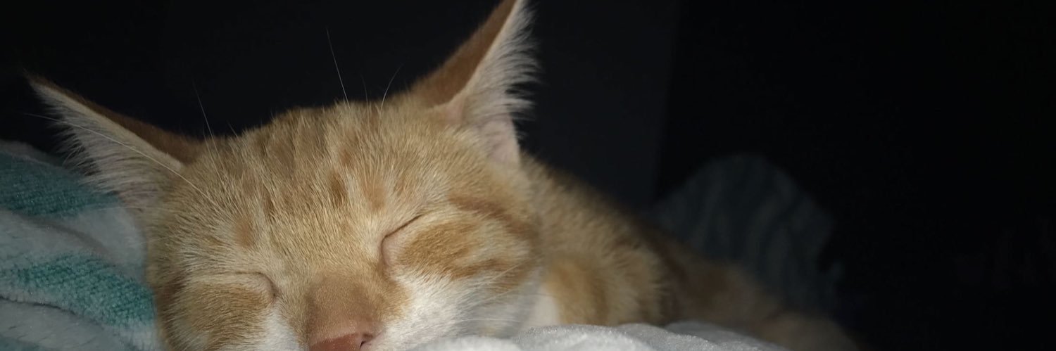 michelleewadell's profile banner image