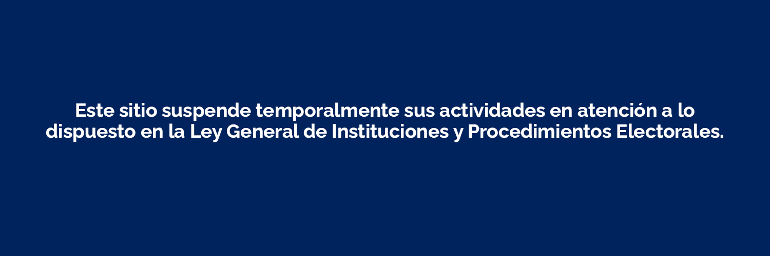 Manuel González banner