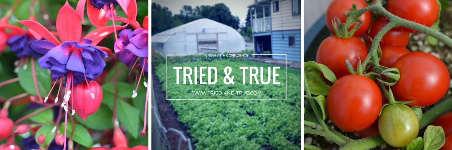 TriedTruePlants's profile banner image