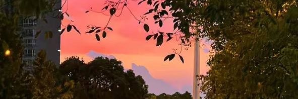 breamantz1128's profile banner image