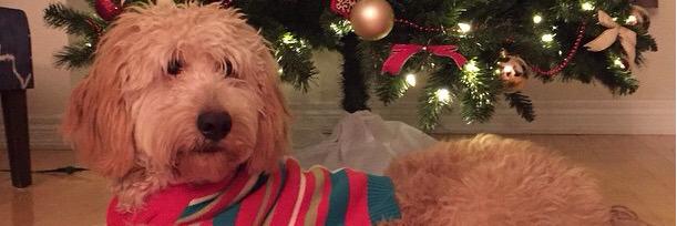 ChrisGalluch's profile banner image