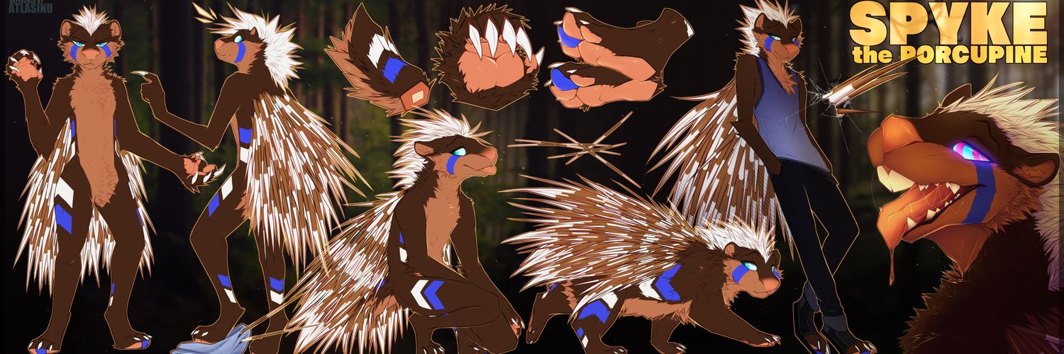 Vorcupine banner