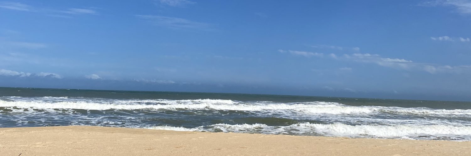 robertavianar_'s profile banner image