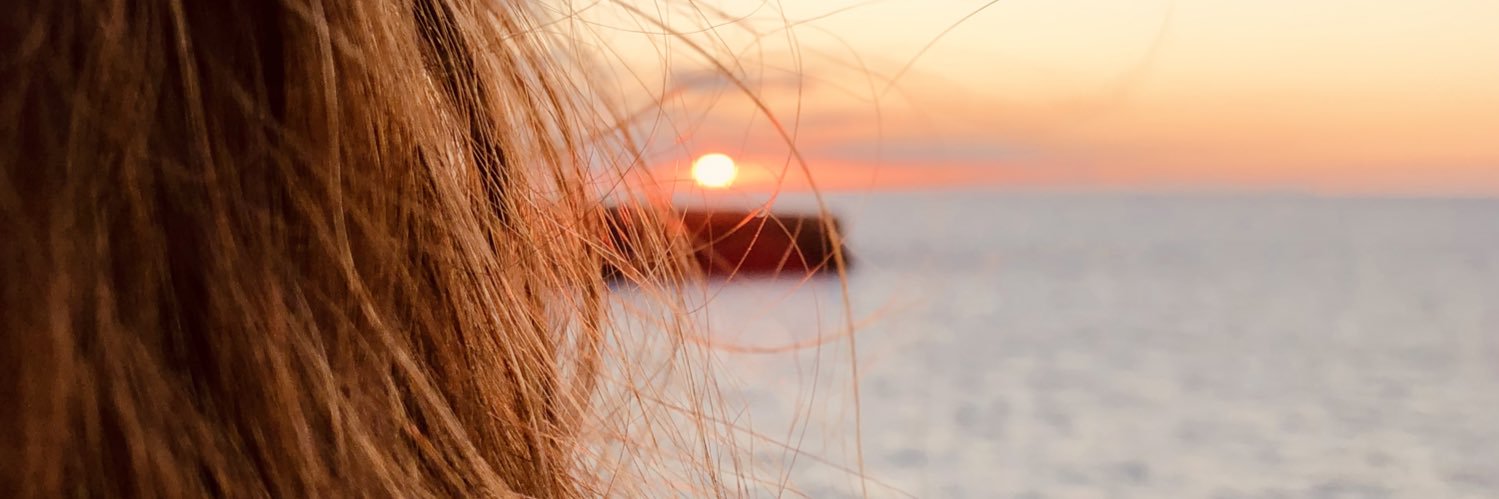 jmarquesflorit's profile banner image