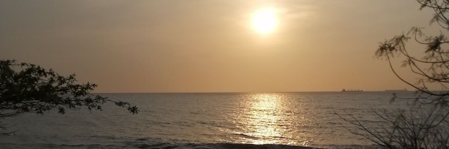 laStaffelbach's profile banner image