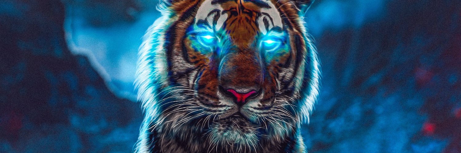 erlands_t's profile banner image