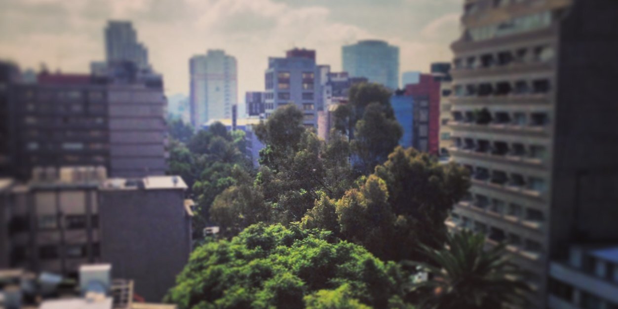 Fabiola de la Fuente banner