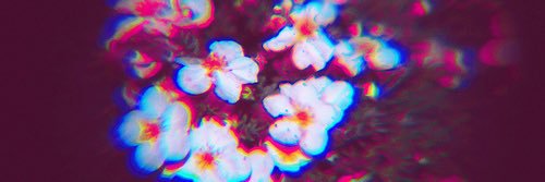 BieberMichelleM's profile banner image