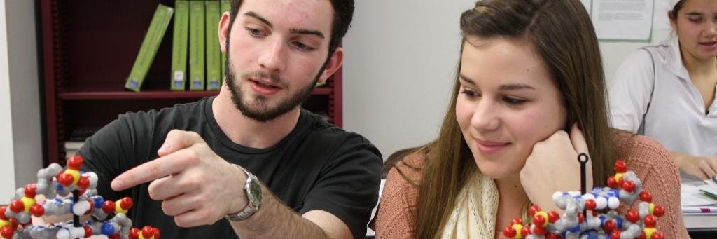 RSD Curriculum banner