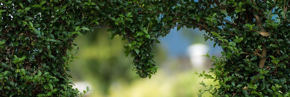 Mercy_MDEpi's profile banner image