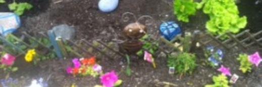 Connie Molnar banner