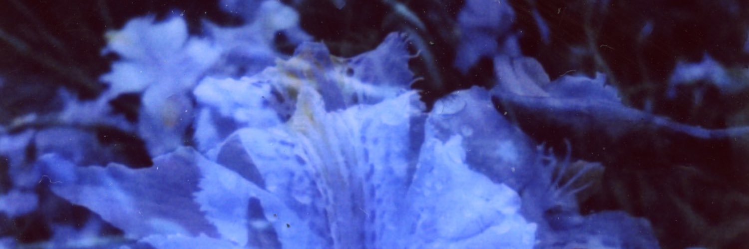AdriDgm's profile banner image