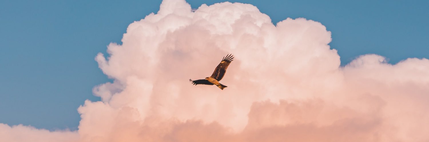 iZapejo's profile banner image