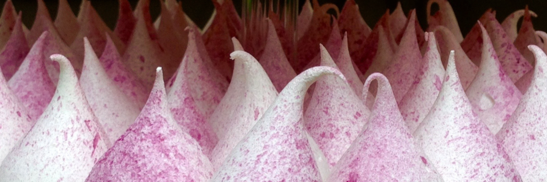 Fluff Meringues banner