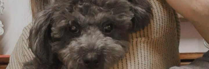 MemiRodas's profile banner image