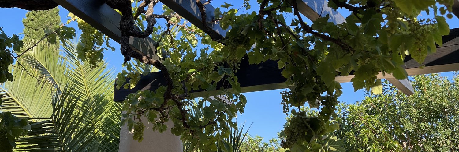 Hazel CS banner